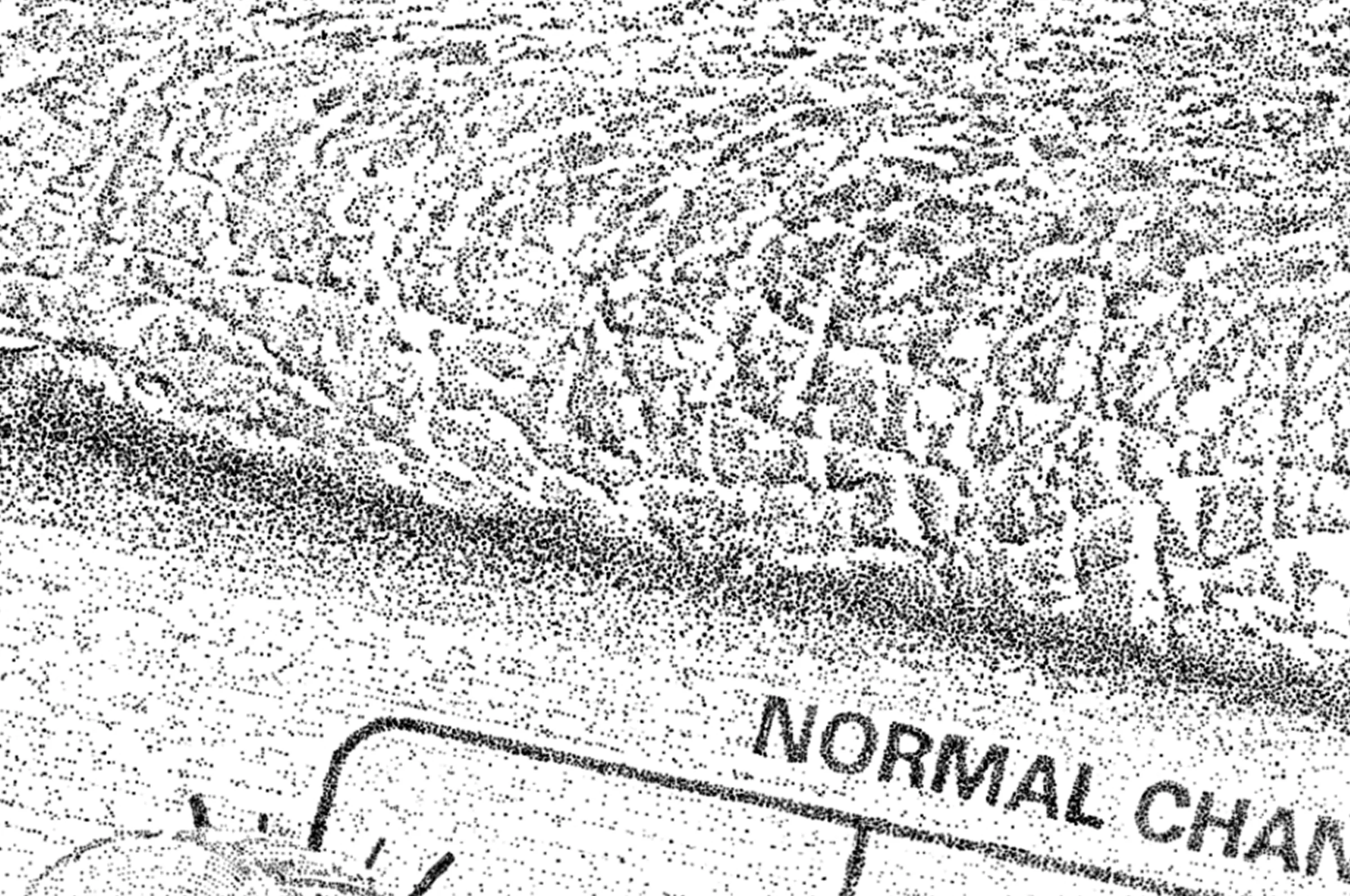Detail of a hand-drawn stippling illustration of a Marshall amplifier.