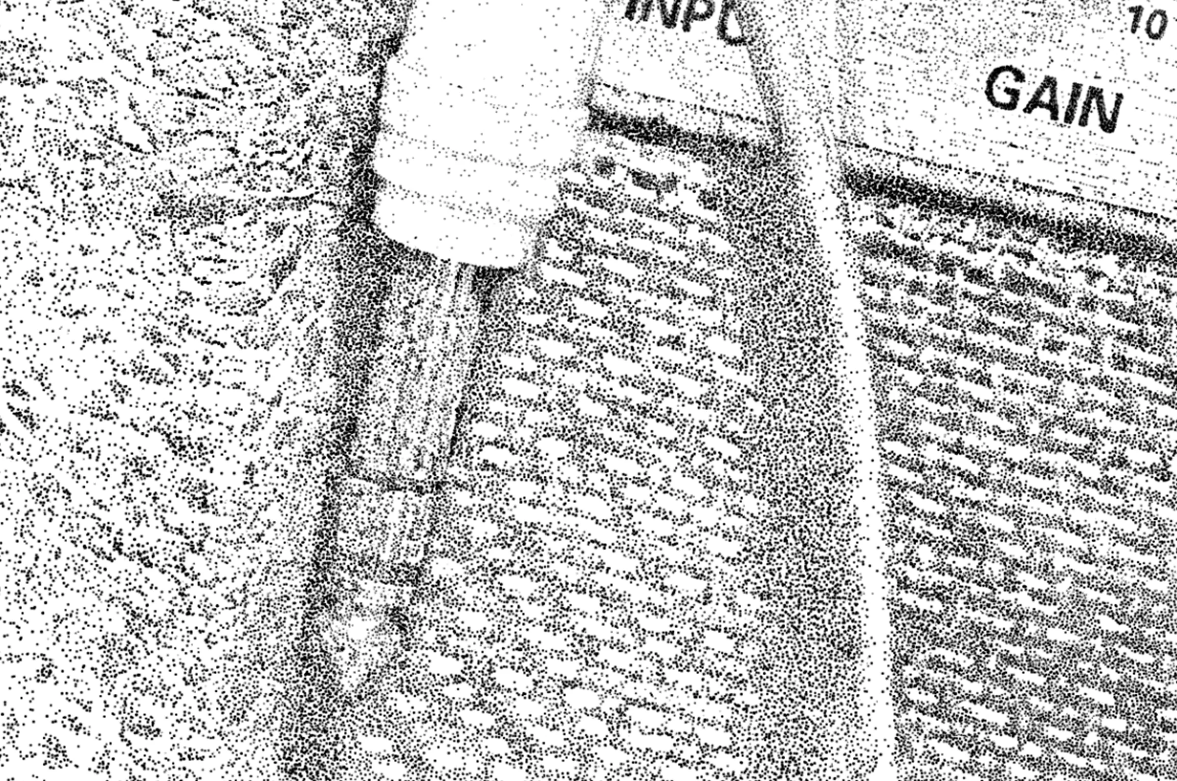 Detail of a hand-drawn stippling illustration of a Marshall amplifier.