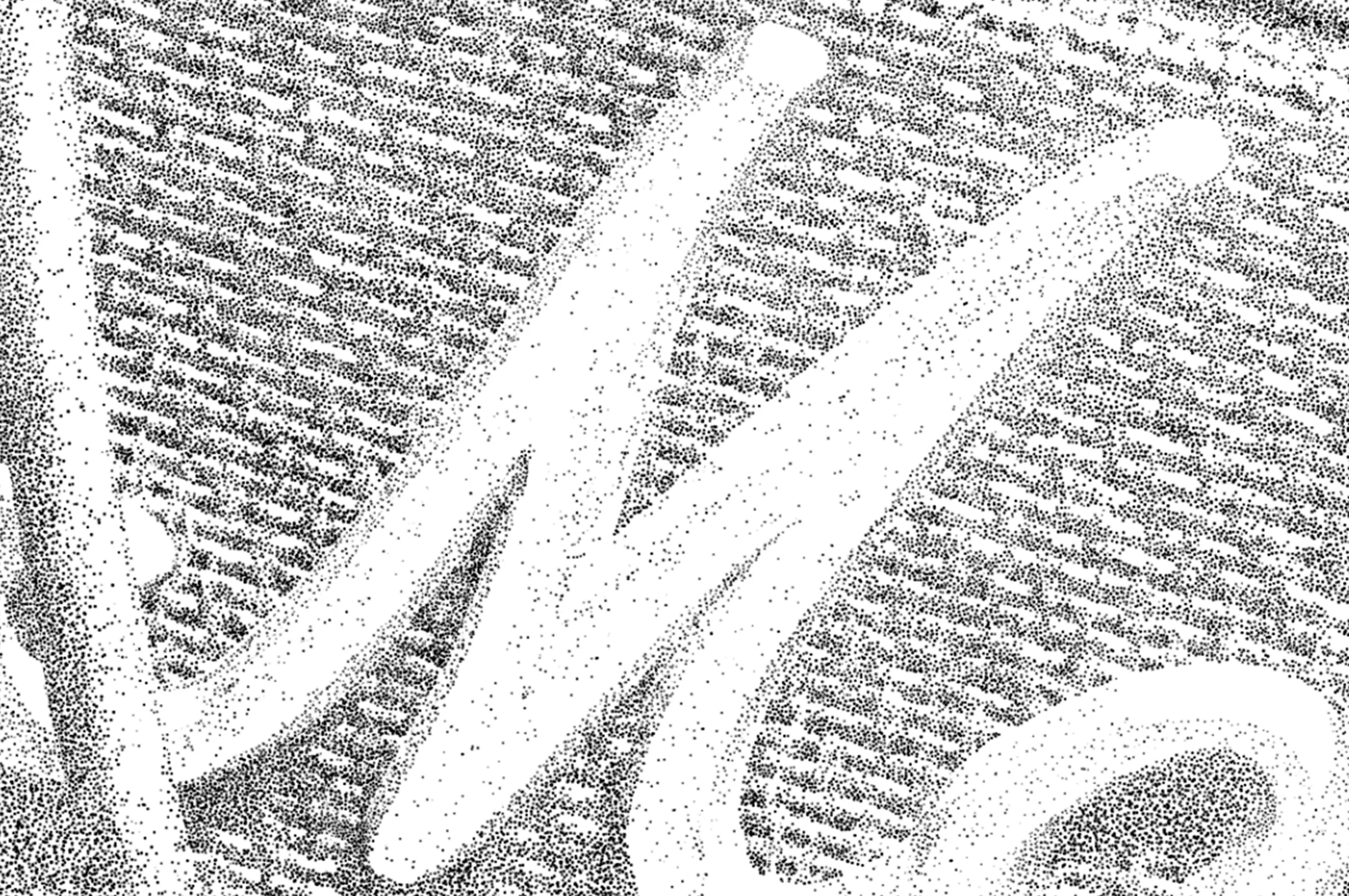 Detail of a hand-drawn stippling illustration of a Marshall amplifier.
